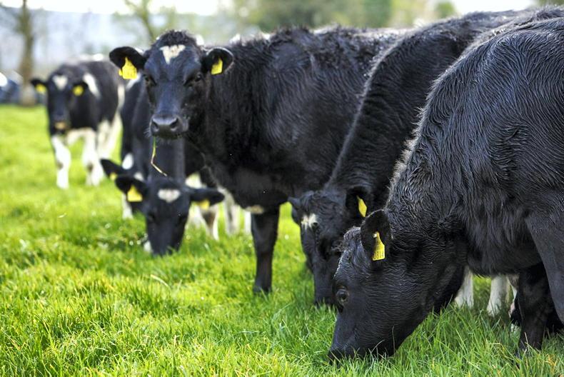 What do the nitrates changes mean for farmers? What do the nitrates changes mean for farmers?