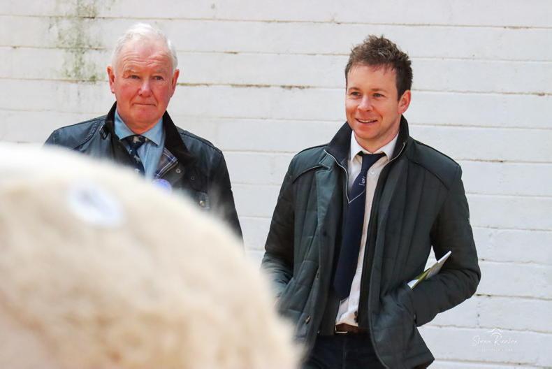 McKiernan to depart from Charolais society McKiernan to depart from Charolais society