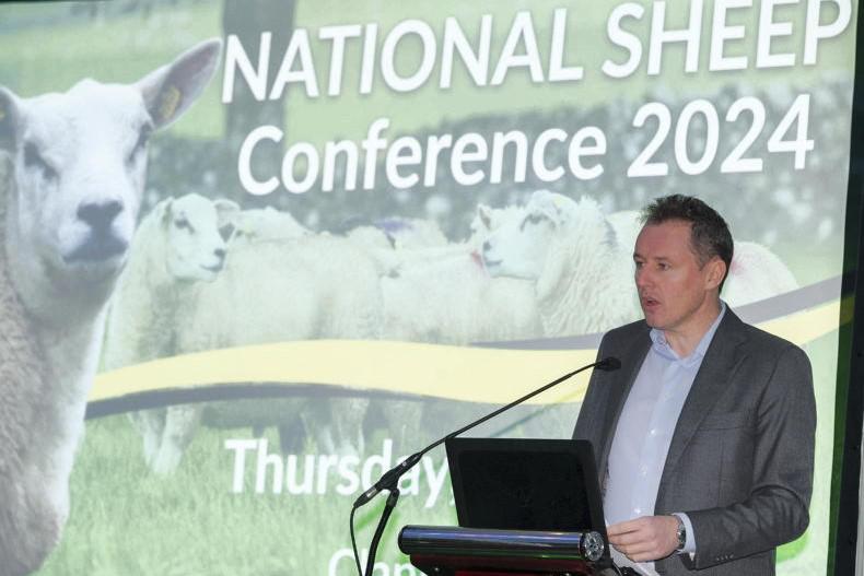 New 8 ewe Sheep Scheme Measures Revealed Premium