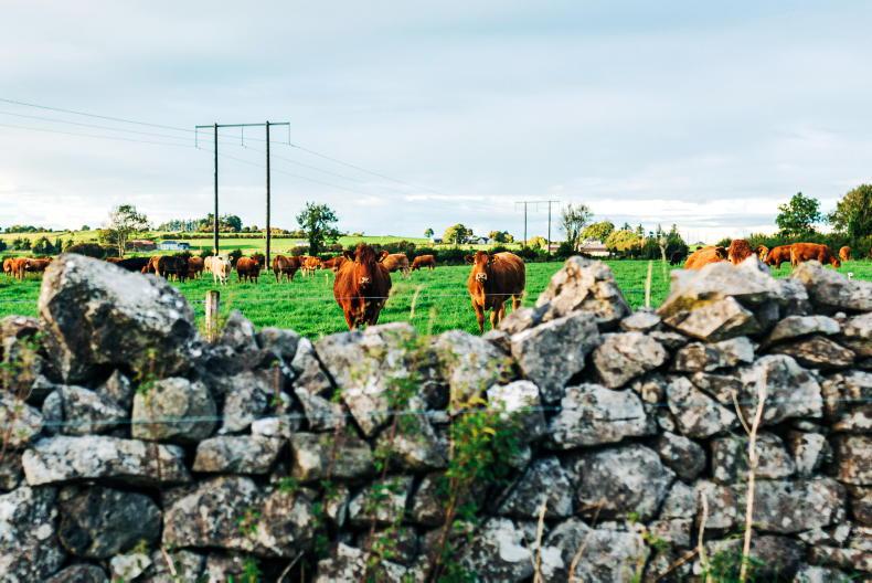 Farmers in the dark over delayed Farm Plan Scheme payments – IFA Farmers in the dark over delayed Farm Plan Scheme payments – IFA