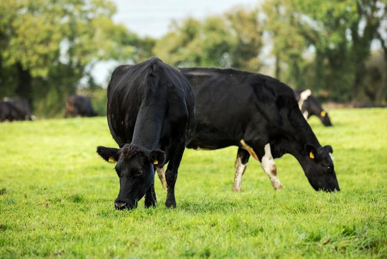 The derogation needs a backstop The derogation needs a backstop