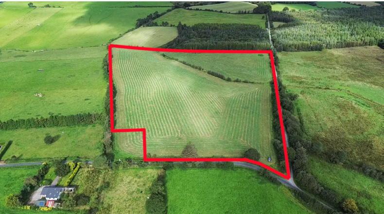 Wicklow land prices stable at close to €15,000/ac Wicklow land prices stable at close to €15,000/ac