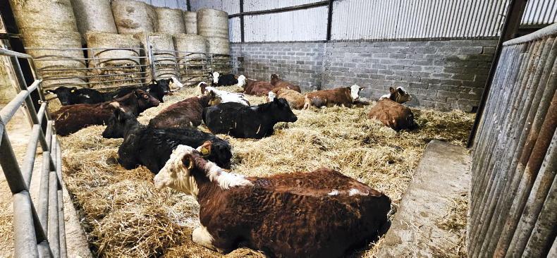 Farmer Writes: be careful what you wish for Farmer Writes: be careful what you wish for