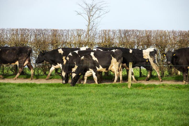Agri jobs: dairy farm workers wanted - Free
