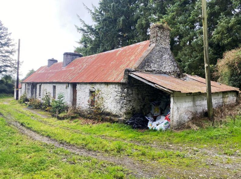 Readers' queries: Vacant Property Refurbishment Grant