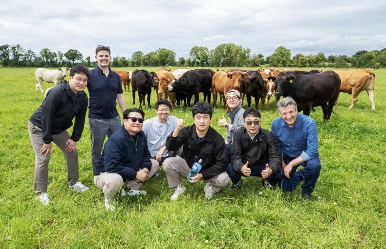 Korean beef buyers visit Tipperary farm Korean beef buyers visit Tipperary farm