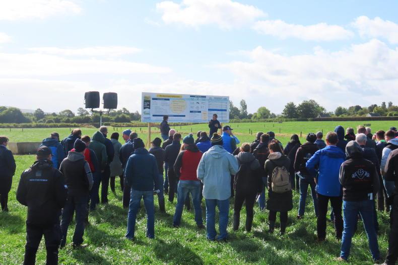 Efficient farming around the environment in Limerick