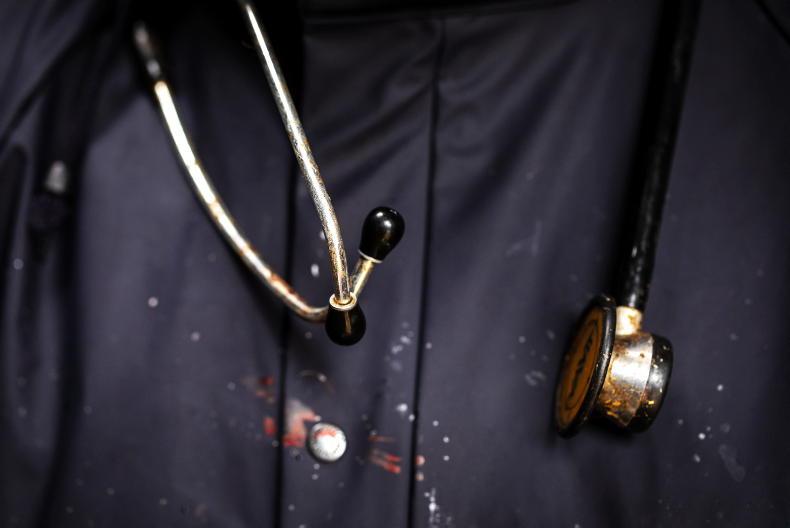 ATU and SETU ironing out logistics for vet schools Premium