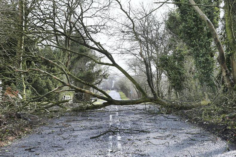 Farms get a battering by storm Éowyn
