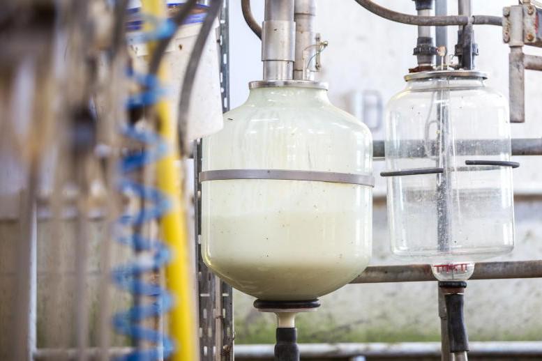 Milk supply fails to hit highs seen in 2023 Milk supply fails to hit highs seen in 2023