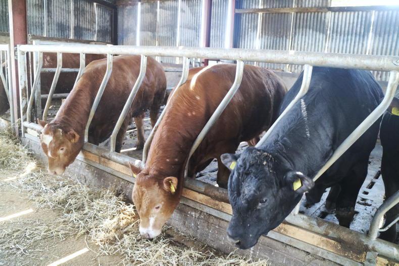 Northern View: factories take some heat out of beef trade Northern View: factories take some heat out of beef trade