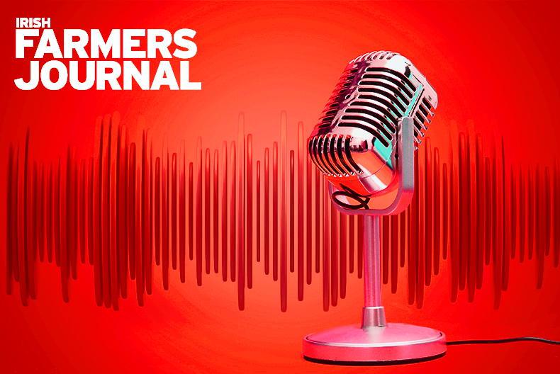 News Podcast: rewetting targets, calf boats and windblow News Podcast: rewetting targets, calf boats and windblow