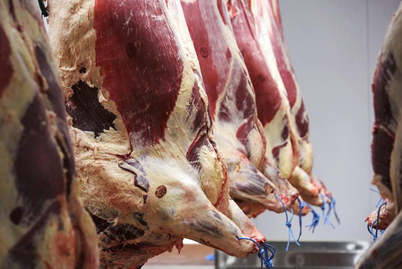 Beef quotes edge closer to €8/kg