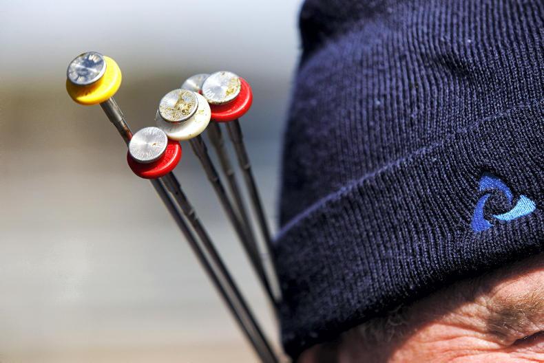 Issues remain over new IP rights for bulls – IFA Issues remain over new IP rights for bulls – IFA