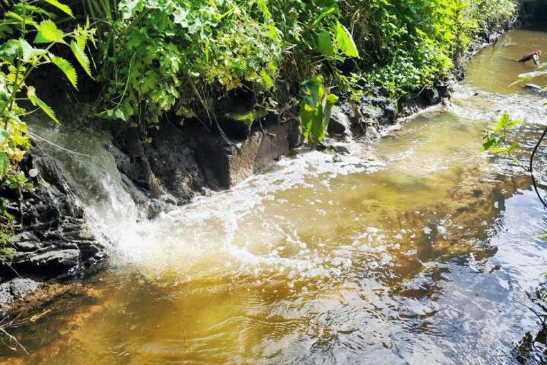 Uisce Éireann fined over €9,000 for sewage pollution in Cavan