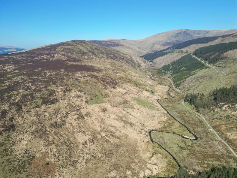 Remarkable landscape in Co Wicklow could ‘disappear into private hands’ Remarkable landscape in Co Wicklow could ‘disappear into private hands’