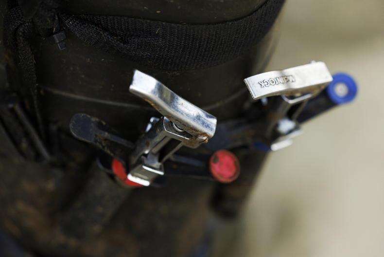 Minister to seek more money for TB eradication Minister to seek more money for TB eradication