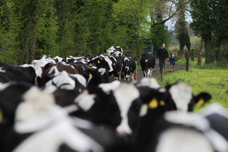 Milk agency seeks 35% increase in milk levy Milk agency seeks 35% increase in milk levy