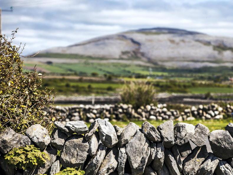 Warning about tax implications of rewilding Warning about tax implications of rewilding