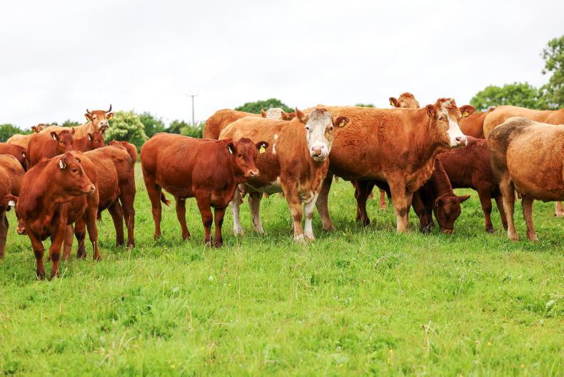 The Grass Week: east slowly coming out of drought The Grass Week: east slowly coming out of drought
