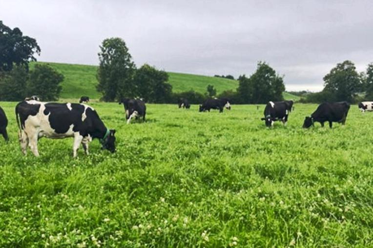 Weekend weather: good lot of dry weather with passing showers Weekend weather: good lot of dry weather with passing showers