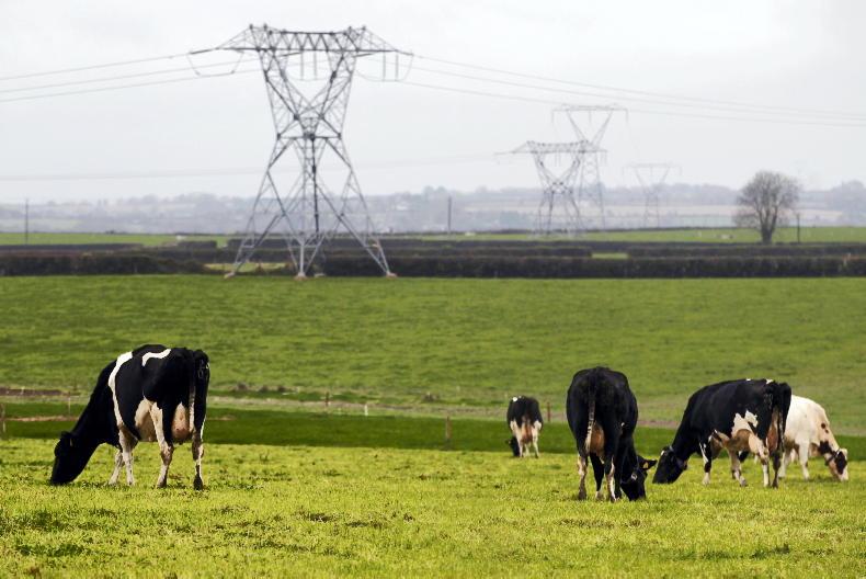 PSO levy funding renewables to fall by 38% PSO levy funding renewables to fall by 38%