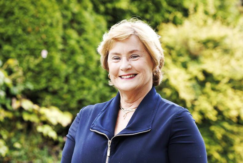 ‘The countryside was surprisingly boring in Denmark – there’s not much going on’ ‘The countryside was surprisingly boring in Denmark – there’s not much going on’