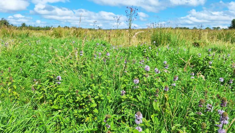 One third of ACRES scorecards submitted One third of ACRES scorecards submitted