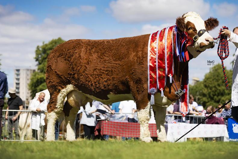 Annick Ginger's Lucia wins her second Scottish national title Annick Ginger's Lucia wins her second Scottish national title