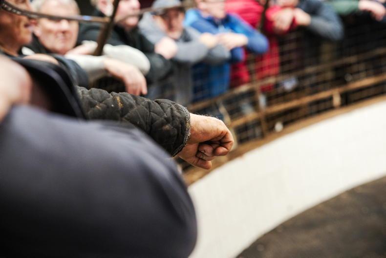 Martbids Database: mart trade hits new August highs Martbids Database: mart trade hits new August highs