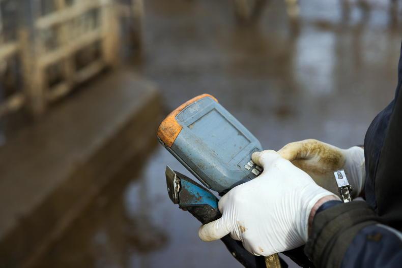 DAERA chief bemoans ‘excessively high’ TB DAERA chief bemoans ‘excessively high’ TB