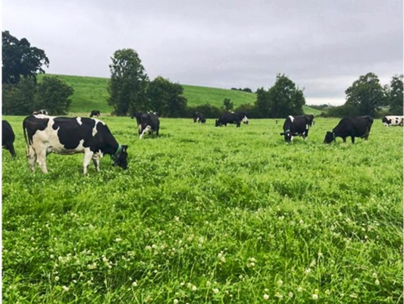 Weekend weather: mostly cloudy but largely dry Weekend weather: mostly cloudy but largely dry