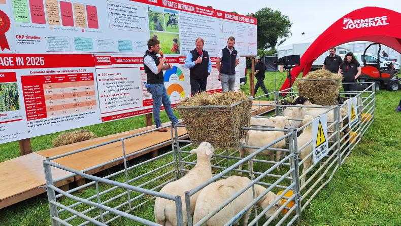 55% of lambs drafted to date in Tullamore
55% of lambs drafted to date in Tullamore