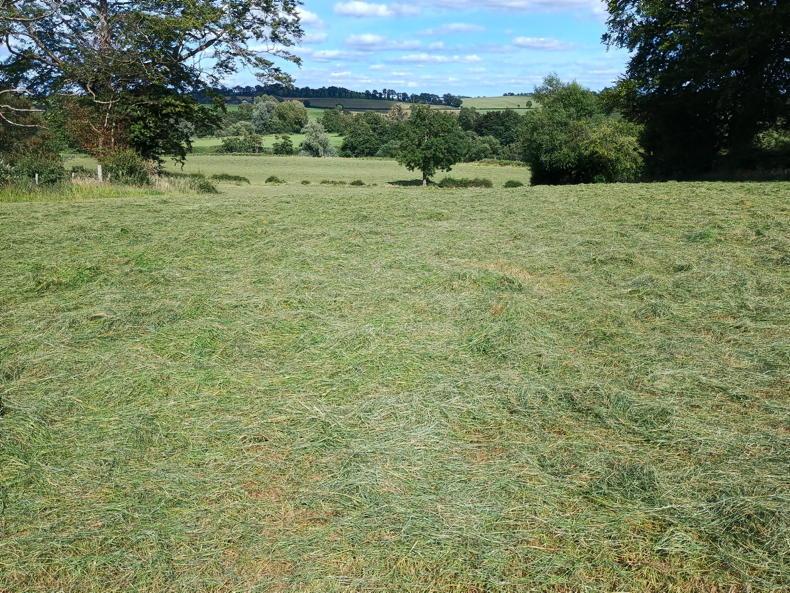 2025 will live long in the memory 2025 will live long in the memory