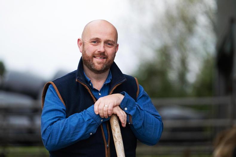 Farmer Writes: thank God for my new handling pen Farmer Writes: thank God for my new handling pen