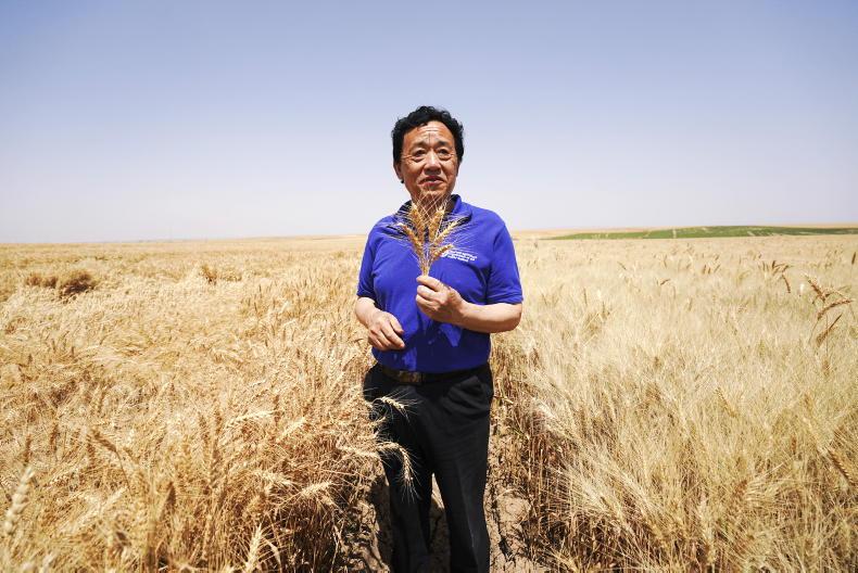 Ireland tops poll to win seat on Food and Agriculture Organisation council Ireland tops poll to win seat on Food and Agriculture Organisation council