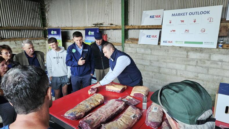 Irish beef prices are 12% ahead of Europe's average Irish beef prices are 12% ahead of Europe's average