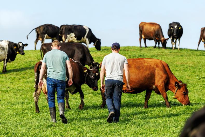 Succession: solutions to low and rollercoaster farm incomes Succession: solutions to low and rollercoaster farm incomes