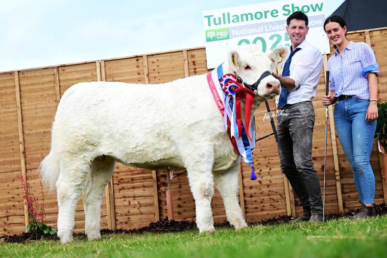 Sagesse sail to national Charolais glory Sagesse sail to national Charolais glory