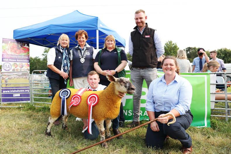 Sensational display of talent at Young Shepherd and Shepherdess finals Sensational display of talent at Young Shepherd and Shepherdess finals