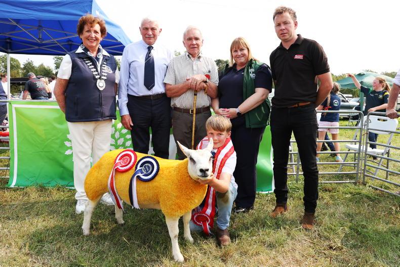 Sensational display of talent at Young Shepherd and Shepherdess finals Sensational display of talent at Young Shepherd and Shepherdess finals
