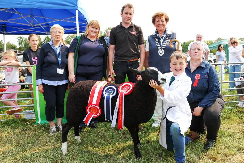 Sensational display of talent at Young Shepherd and Shepherdess finals Sensational display of talent at Young Shepherd and Shepherdess finals