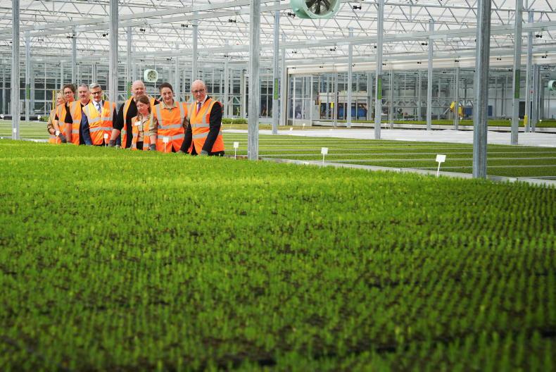 UK’s largest glasshouse opens in Scotland UK’s largest glasshouse opens in Scotland