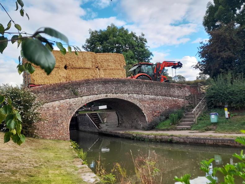 Farmer Writes: Holidays offer chance to compare to home Farmer Writes: Holidays offer chance to compare to home