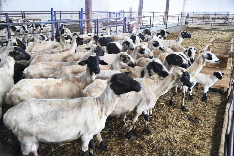 Resignation and raids following Greek CAP fraud Resignation and raids following Greek CAP fraud