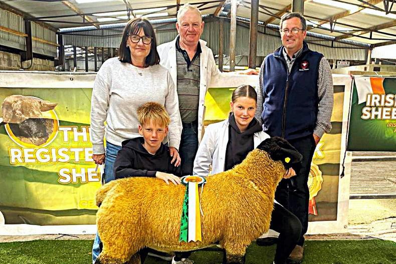 Suffolks celebrate 54 years in Roscommon Suffolks celebrate 54 years in Roscommon