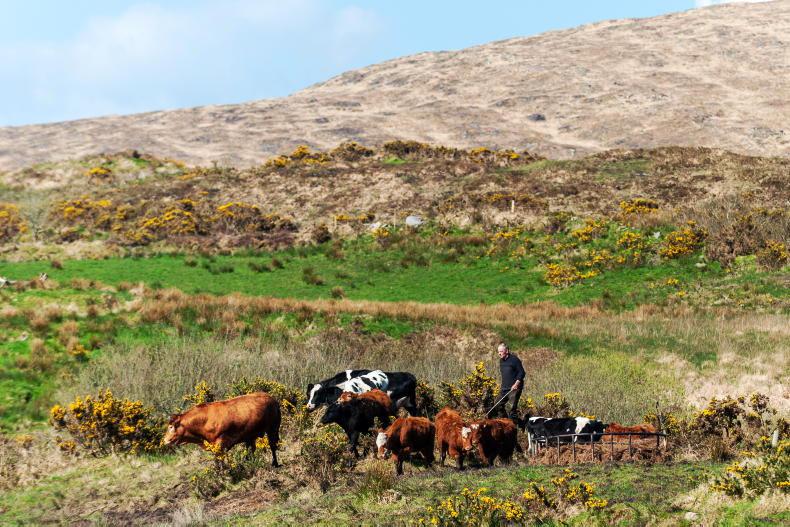 ACRES delays: 197 ACRES farmers yet to see a penny from scheme ACRES delays: 197 ACRES farmers yet to see a penny from scheme