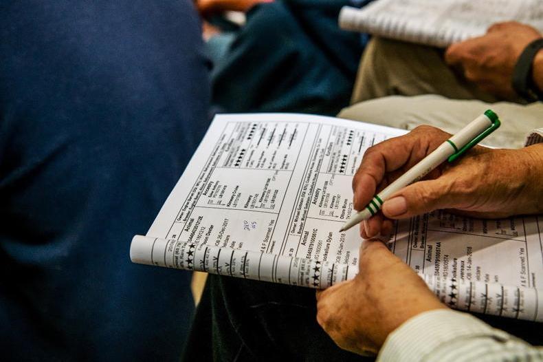 Over 650 rams entered to Sheep Ireland Elite €uroStar Multi-Breed Ram Sale Over 650 rams entered to Sheep Ireland Elite €uroStar Multi-Breed Ram Sale