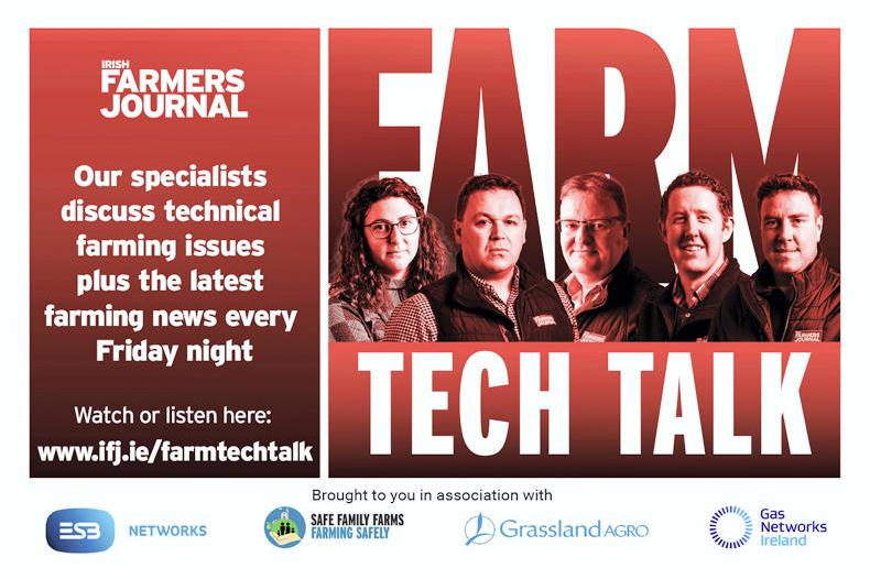 Farm Tech Talk: hogget sales, nitrates latest and July milk prices Farm Tech Talk: hogget sales, nitrates latest and July milk prices