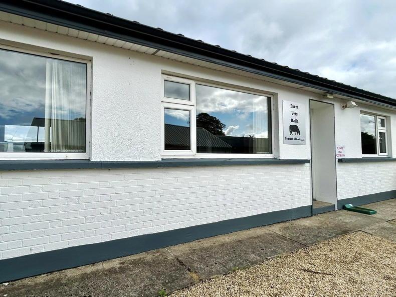 New large animal veterinary practice opens in Mayo to tackle rural vet shortages New large animal veterinary practice opens in Mayo to tackle rural vet shortages